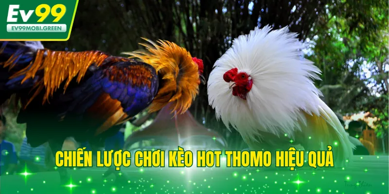 Chiến lược chơi kèo hot Thomo hiệu quả